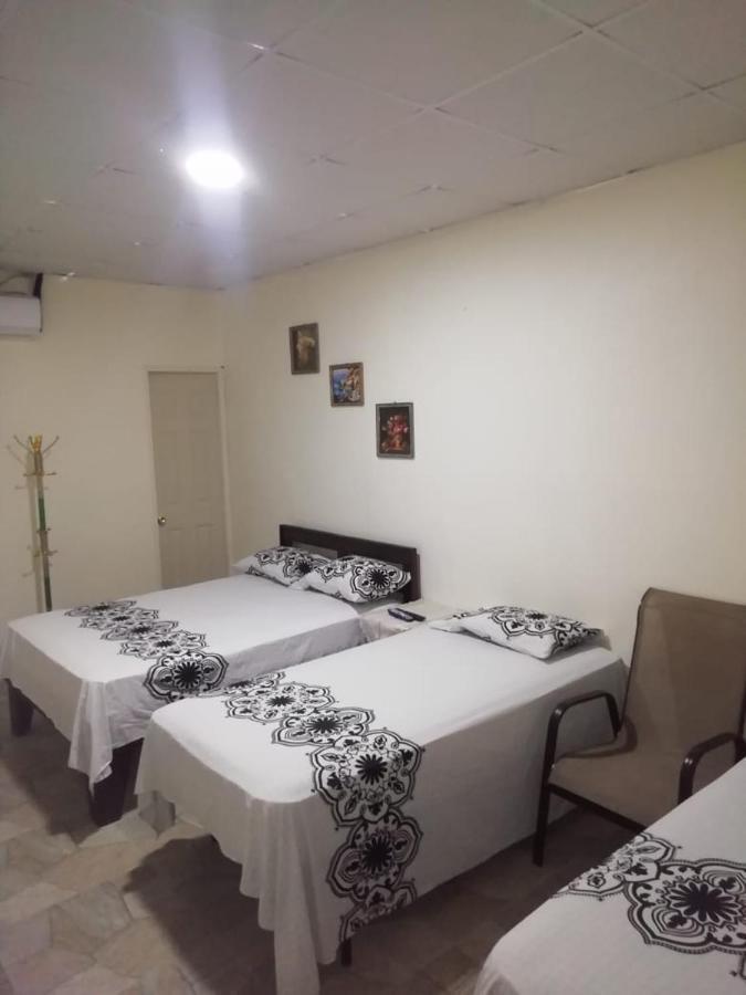 Hostal My House Your House ダビッド エクステリア 写真