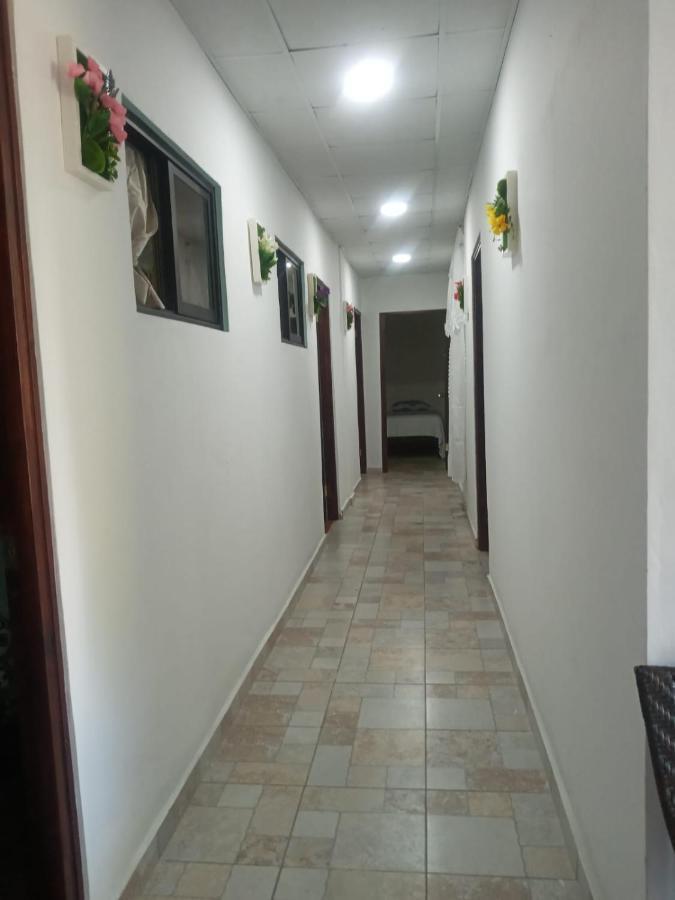 Hostal My House Your House ダビッド エクステリア 写真